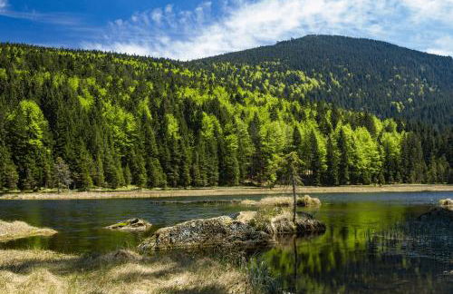 Ferienwohnung Dimpfl-Stad´l Fam. Lemberger - Foto 13