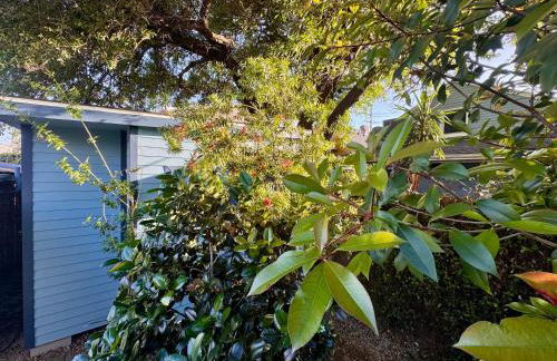 Charming Studio Cabin under Oak tree 2 mins walk to Magazine quiet neighborhood - Foto 11