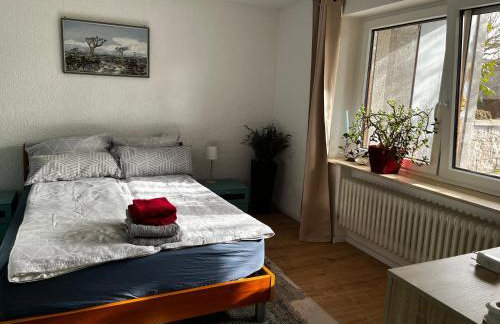 Garden apartment - Foto 24