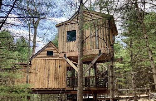 Eco-Friendly, Abstract Treehouse Surrounded by Wildlife and Hiking Trails For a Special Getaway in Sparrow Bush, New York - Foto 20