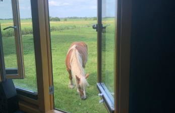 Tiny House nah am Nationalpark - Foto 40