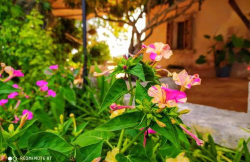 Ca na Maria - Foto 23