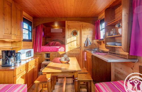 Roulotte climatisée avec piscine et jardin - FR-1-622-54 - Photo 4