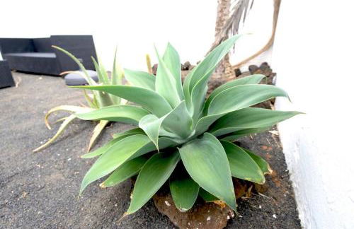 Kalendra Rofe · Amplia y tranquila cerca del mar - Foto 9