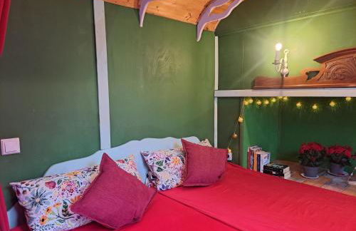 Tiny Haus - Sternenblick - Sauna - Foto 7