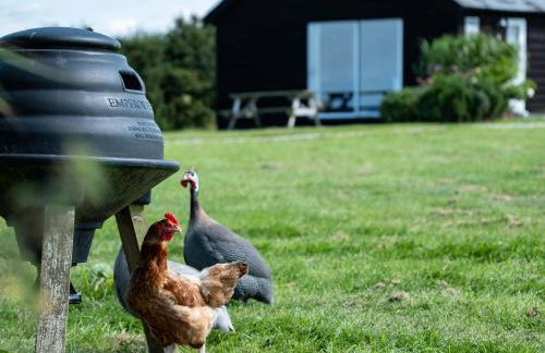 Atlantic Lodge - Photo 23