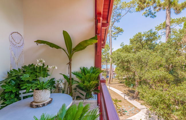 Domaine Aïga - Foto 9