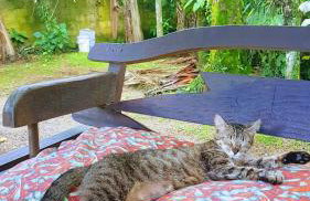 Pousada Siroba BEIRA RIO - Photo 27