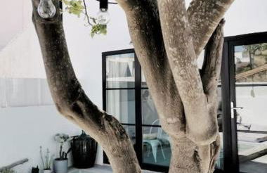 Casadasfurnazinhas - Foto 39