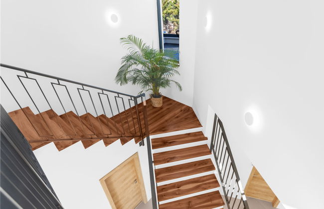 Marko Aurelia - Foto 47