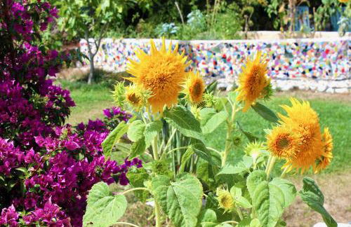 Vivenda Montanha - Relax in Nature - Foto 36