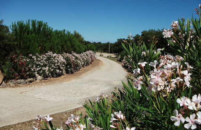 Rocce Bianche - Foto 55