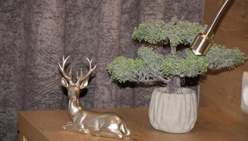 Residenz Grafenmatt Feldberg - Foto 5