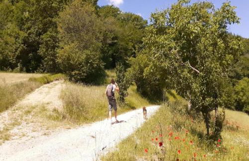 Farmhouse in Giano dell'Umbria - Foto 21