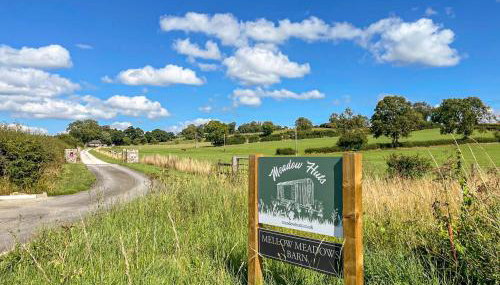 Forget-Me-Not - Uk37646 - Foto 2