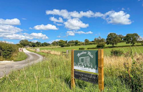 Forget-Me-Not - Uk37646 - Foto 2