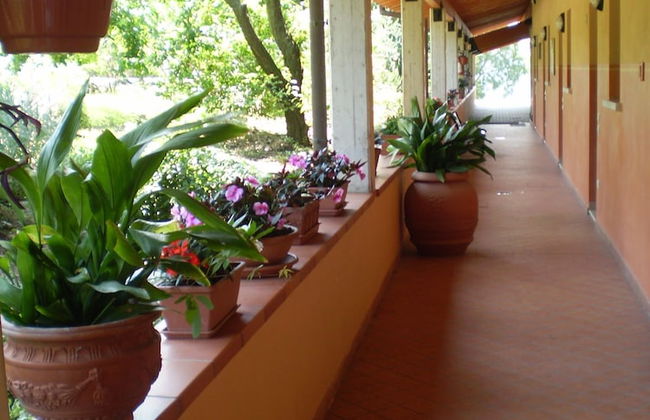 Agriturismo Renzano Garden Apartments - Foto 2