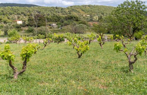 Philip estate - Foto 36