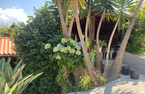 casa Pinto Douro country - Foto 21