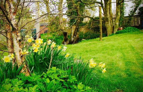 Bridgend Cottage, Auchencairn, Castle Douglas - Foto 22