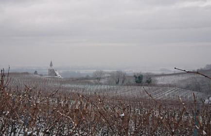 La maison de Paul - Foto 26
