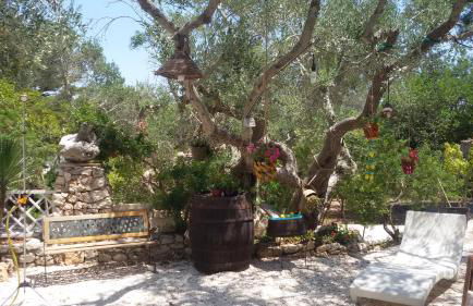 Limonaia in Salento - Foto 33