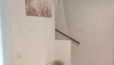 Bulle tropicale jungle - Foto 4