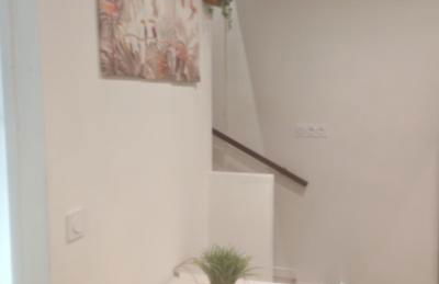 Bulle tropicale jungle - Foto 4