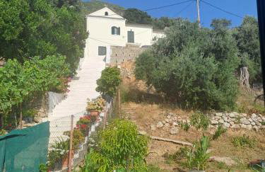 Ostriche House - Foto 27