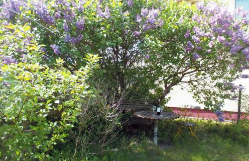 Apartment Galerie by Interhome - Foto 19