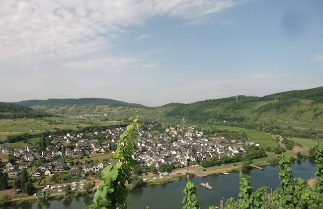 Spacious Holiday Home in Briedel Near River Mosel - Foto 31
