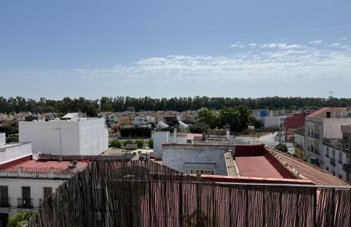 Ático gelves - Photo 9