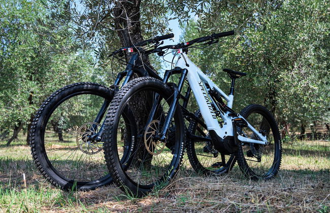 A3Passi Agriturismo tra gli Ulivi - Photo 58