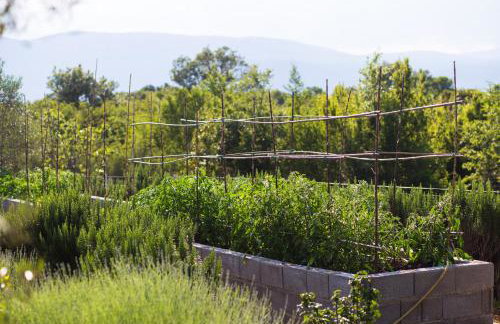 Officinalis - Family Vacation House - Photo 37