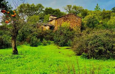 Quinta Castanheiro da Penha - Alegrete - Portalegre - Alentejo - Foto 32