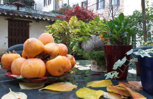 Casa Pusterla - Foto 24
