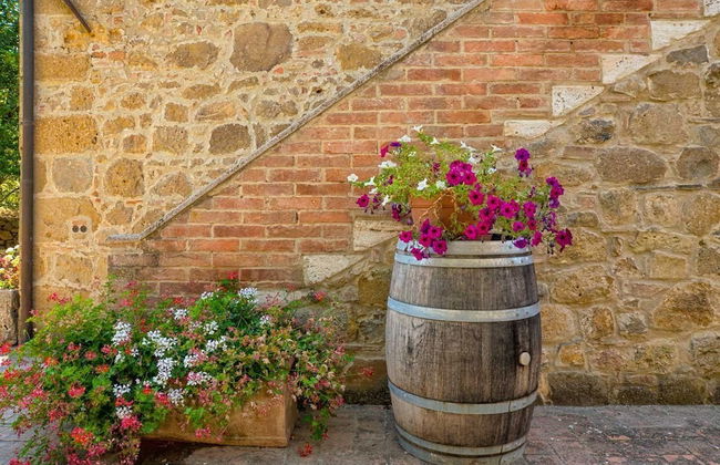 Castello di Spedaletto - Foto 50