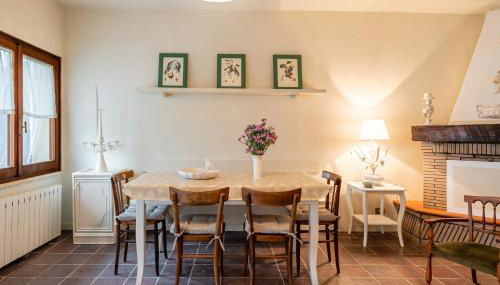 Sassi Scritti - Abete Bianco - Foto 3