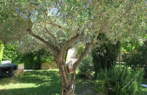 L'embellie - Foto 13