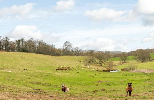 Spire View - Foto 21