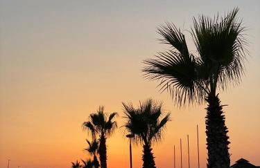 Casa Mario & Amaya - Photo 16