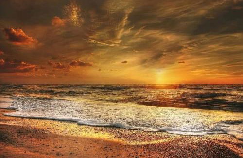 Günstige Wohnung in Ostfriesland auch für die kleine Familie - Photo 3