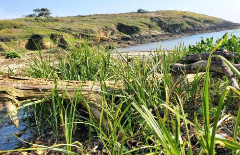 Portec la mer et le sentier côtier à pied - Foto 38