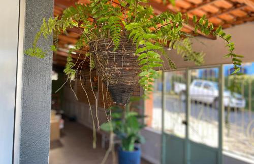 Hotel APART Zuccolotto 1 - Foto 21