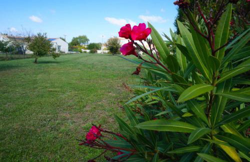 Appartement La Rochelle - Foto 77