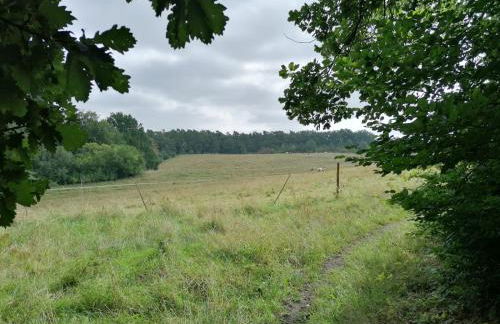 Silent Hill House - Foto 44