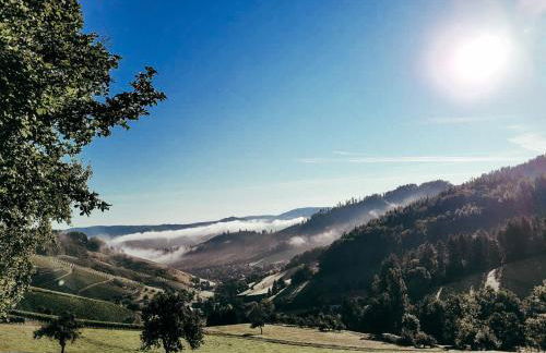 Am Boulevard - Foto 17