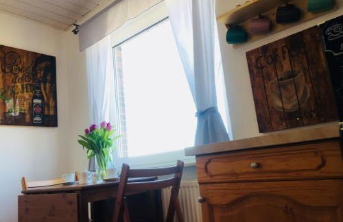 Äpfel und Elbe - Photo 4