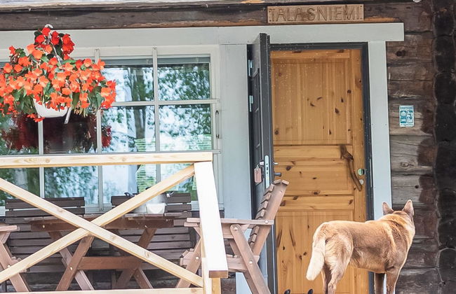 Talasniemi - Foto 36