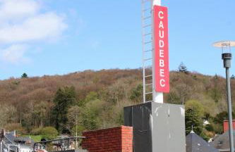 Les Hellebores - Foto 74